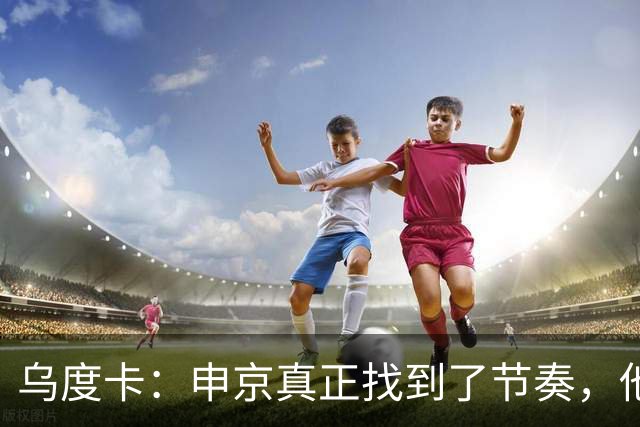 乌度卡：申京真正找到了节奏，他在篮下就是一头猛兽