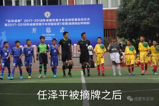 任泽平被摘牌之后
