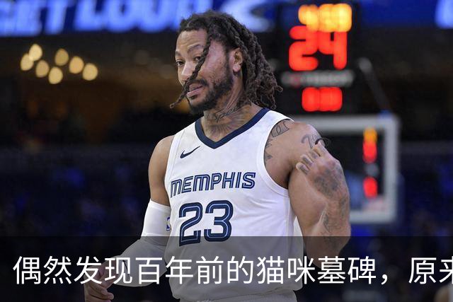 偶然发现百年前的猫咪墓碑，原来被爱过的痕迹，真的不会消失！
