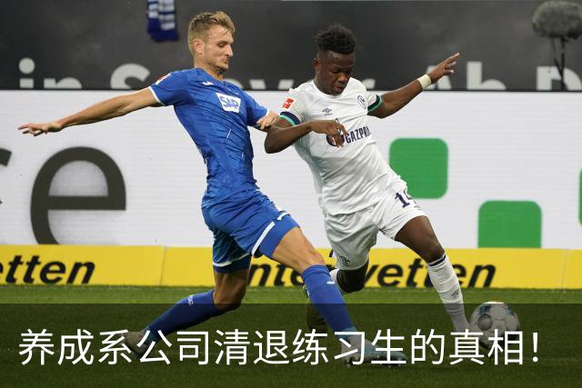 养成系公司清退练习生的真相！
