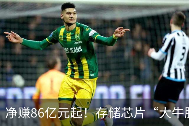 净赚86亿元起！存储芯片“大牛股”德明利，前三季度业绩“炸裂”，股价却从年内高点下跌70%