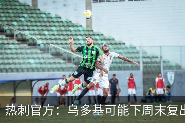 热刺官方：乌多基可能下周末复出，麦迪逊可战切尔西