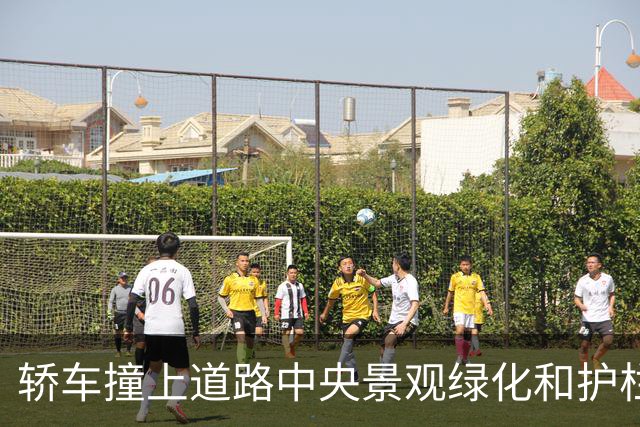 轿车撞上道路中央景观绿化和护栏