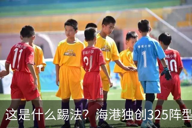 这是什么踢法？海港独创325阵型：拉爆蓉城体能，英博渔翁得利
