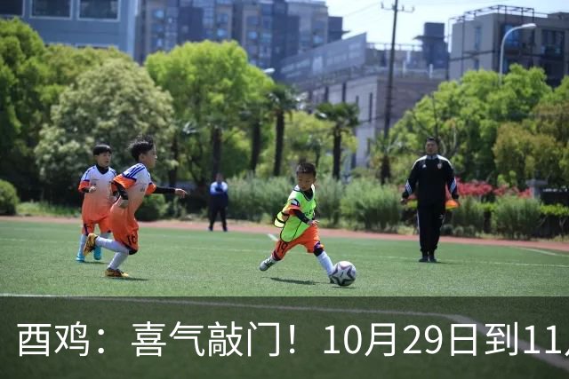 酉鸡：喜气敲门！10月29日到11月11日，三桩转机悄悄靠近你！