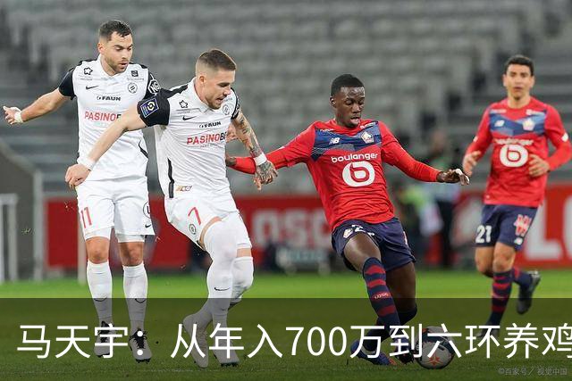 马天宇：从年入700万到六环养鸡，为何把做自己放在做艺人前面？