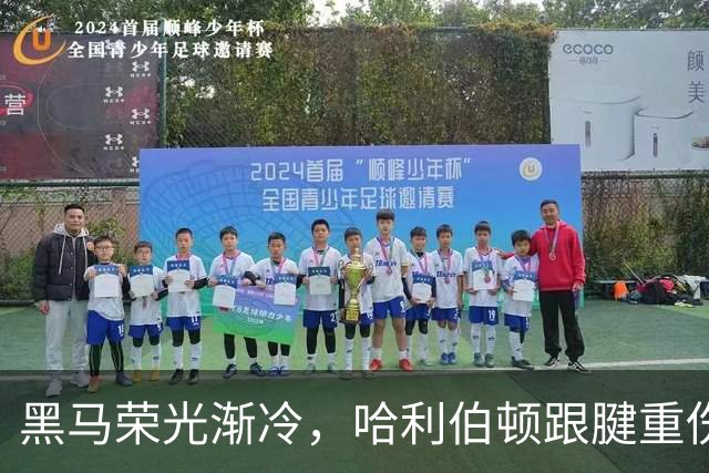 黑马荣光渐冷，哈利伯顿跟腱重伤归来重新出发