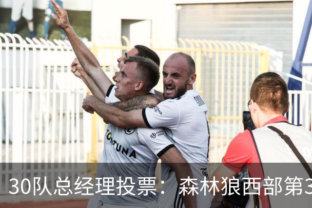 30队总经理投票：森林狼西部第3，却又被选为最难预测