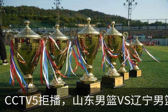 CCTV5拒播，山东男篮VS辽宁男篮，祝铭震+王岚钦首秀，陶汉林十分关键