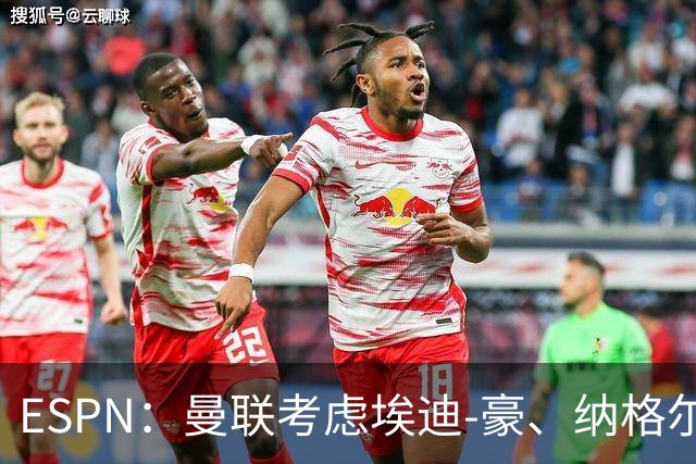 ESPN：曼联考虑埃迪-豪、纳格尔斯曼接替卡里克